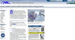 Desktop Screenshot of mbl.org